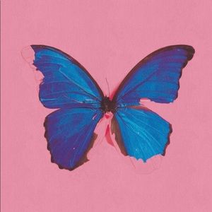 Meet your Posher, Upcycle